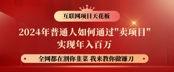 2024年普通人如何通过”卖项目”实现年入百万-皓收集 | 网创宝典