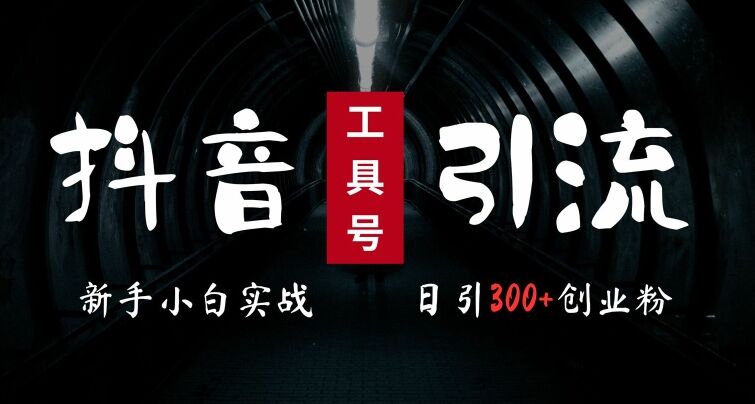 2024最新抖音工具号引流玩法，高效日引300+创业粉，当天变现5k，小白也可成为实战高手-皓收集 | 网创宝典