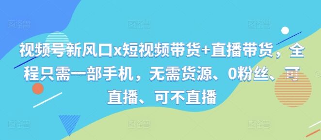 视频号新风口x短视频带货+直播带货，全程只需一部手机，无需货源、0粉丝、可直播、可不直播-皓收集 | 网创宝典