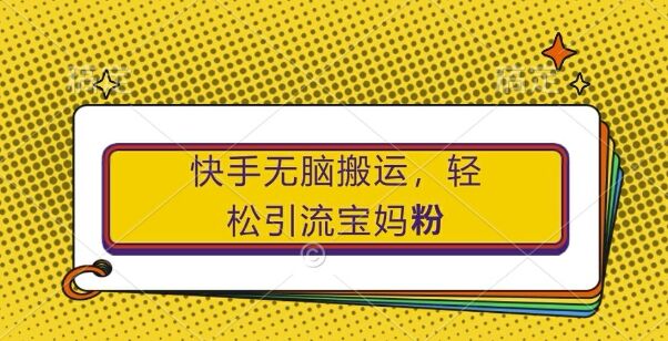 快手无脑搬运，轻松引流宝妈粉，纯小白轻松上手【揭秘】-皓收集 | 网创宝典