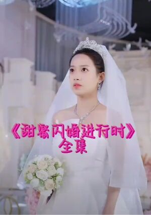 甜蜜闪婚进行时