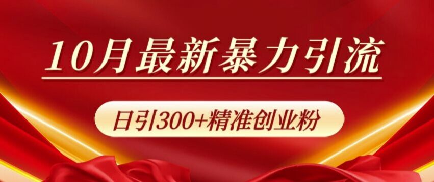 10月最新暴力引流，私域完美闭环，日引300+精准创业粉【揭秘】-皓收集 | 网创宝典