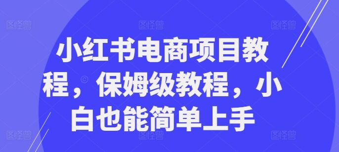 小红书电商项目教程，保姆级教程，小白也能简单上手-皓收集 | 网创宝典