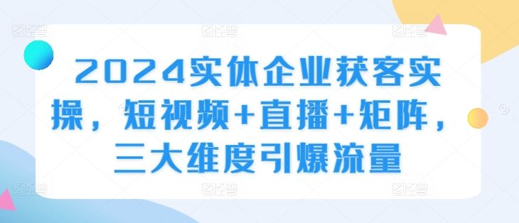 2024实体企业获客实操，短视频+直播+矩阵，三大维度引爆流量-皓收集 | 网创宝典