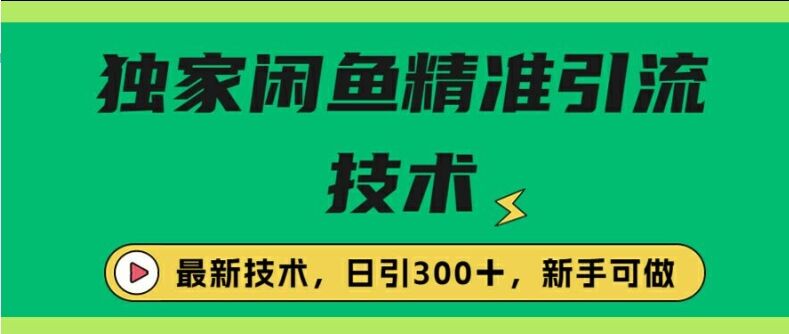 闭鱼精准引流，日引300+创业粉保姆级教程，新手可做-皓收集 | 网创宝典