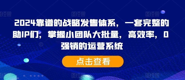 2024靠谱的战略发售体系，一套完整的助IP们，掌握小团队大批量，高效率，0 强销的运营系统-皓收集 | 网创宝典