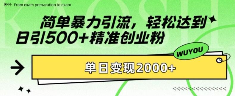 简单暴力引流，轻松达到日引500+精准创业粉，单日变现2k【揭秘】-皓收集 | 网创宝典