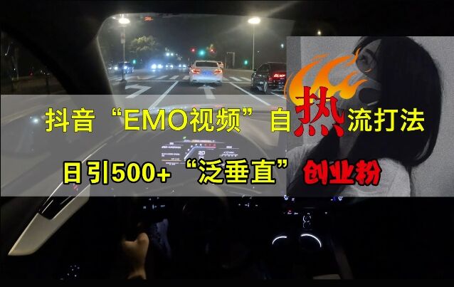 抖音EMO视频自热打法，日引500+“泛垂直”创业粉-皓收集 | 网创宝典