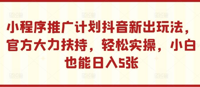 小程序推广计划抖音新出玩法，官方大力扶持，轻松实操，小白也能日入5张【揭秘】-皓收集 | 网创宝典