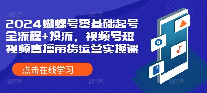 2024蝴蝶号零基础起号全流程+投流，视频号短视频直播带货运营实操课-皓收集 | 网创宝典