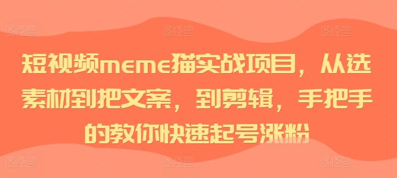 短视频meme猫实战项目，从选素材到把文案，到剪辑，手把手的教你快速起号涨粉-皓收集 | 网创宝典