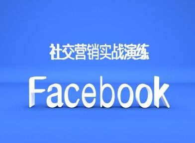 Facebook社交营销实战演练，外贸人绝对不能错过的营销推广平台-皓收集 | 网创宝典