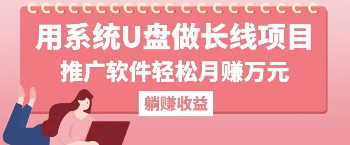 用系统U盘做长线项目，推广软件轻松月入过W-皓收集 | 网创宝典