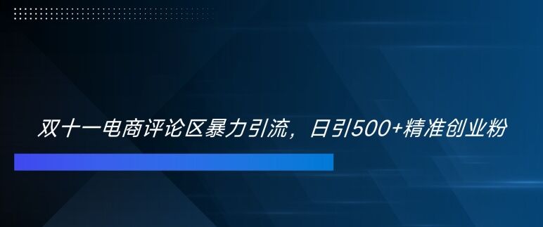 双十一电商评论区暴力引流，日引500+精准创业粉【揭秘】-皓收集 | 网创宝典