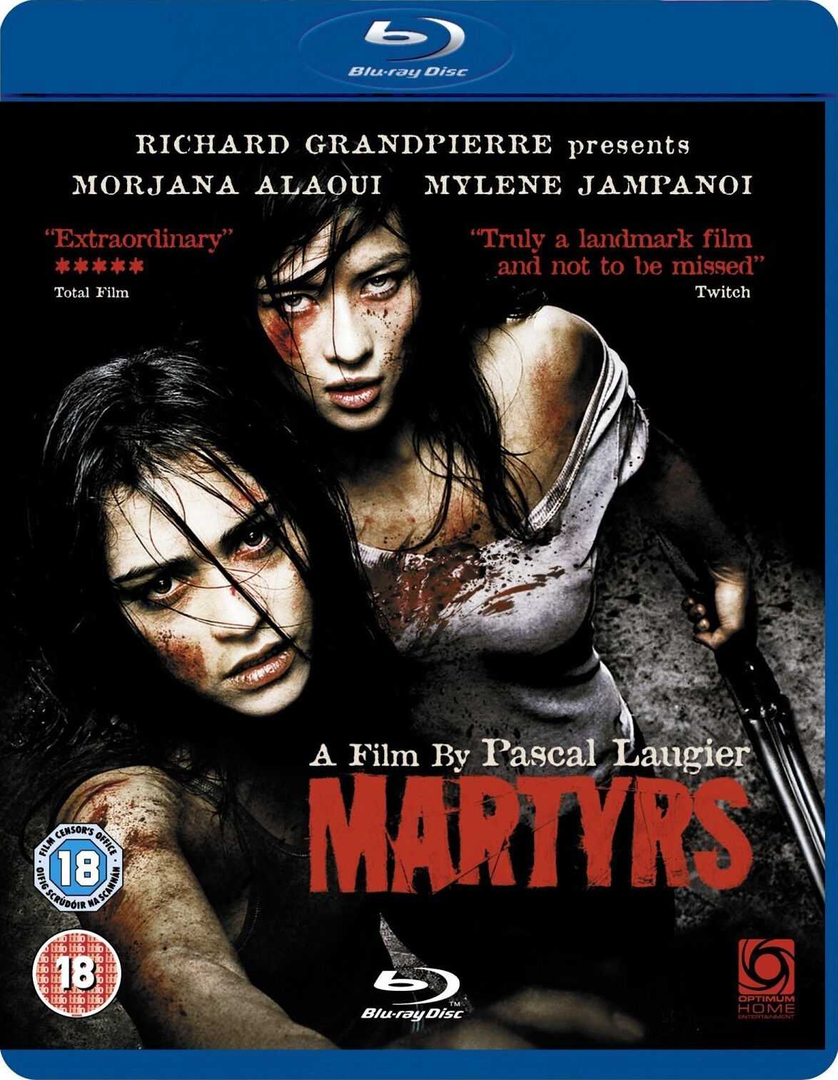 殉难者.Martyrs.2008.AUS.BluRay.X265.2Audio.AC3.H5[法语]