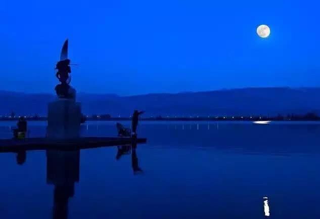 月城西昌