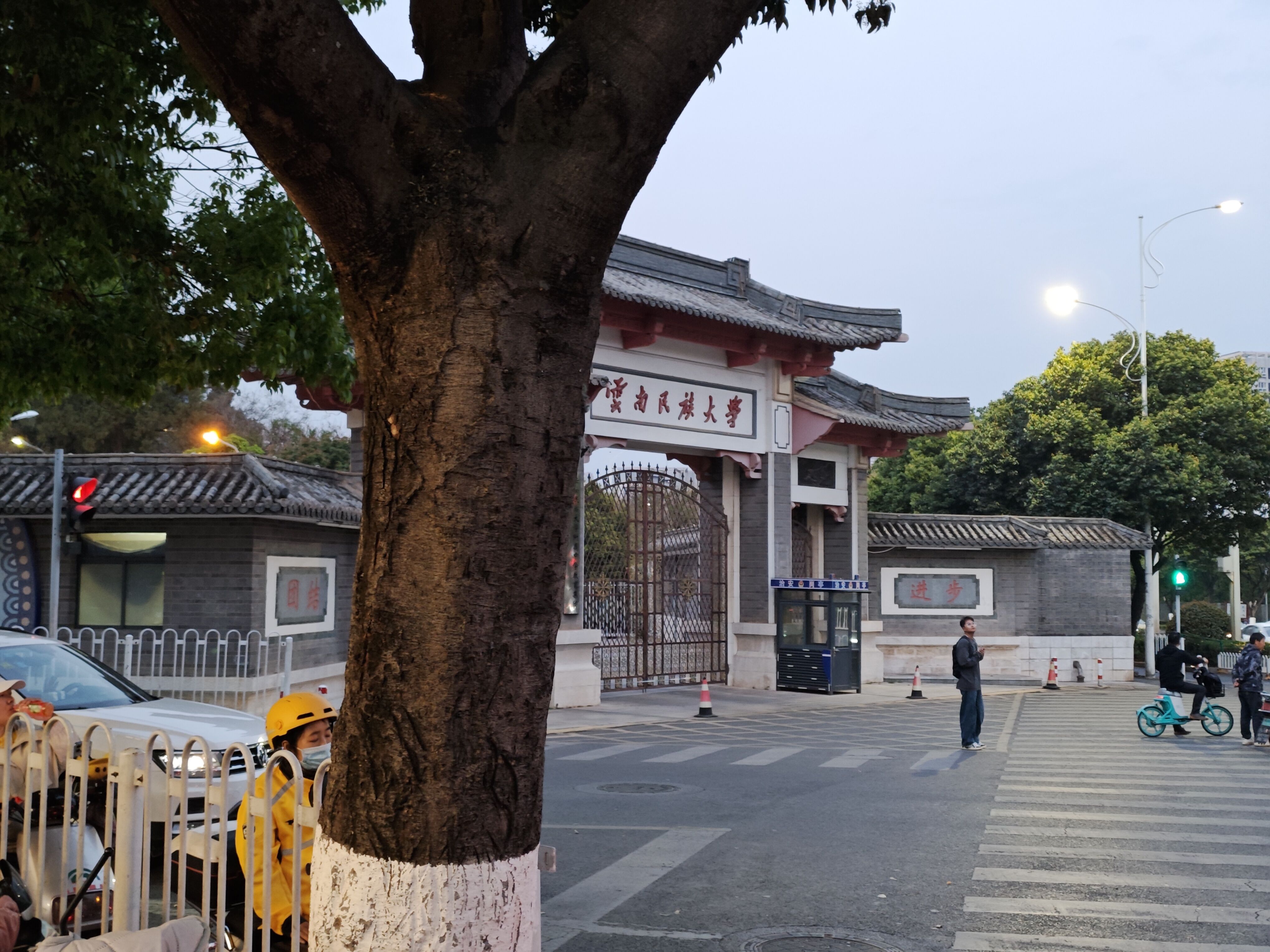 图片1