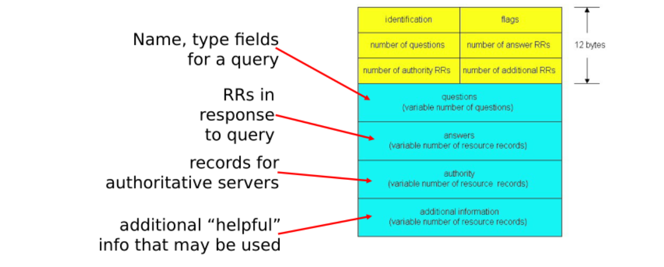 DNS协议、报文